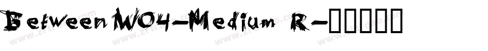 Between1W04-Medium R字体转换